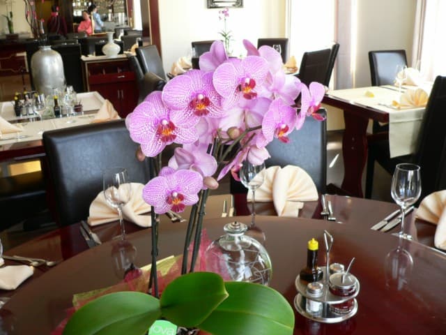 Sfeervolle tafeldecoratie met orchidee